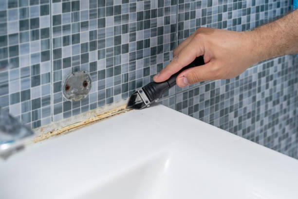 Mold Removal and Inspection in Lake Sarasota, FL
